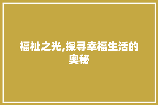 福祉之光,探寻幸福生活的奥秘
