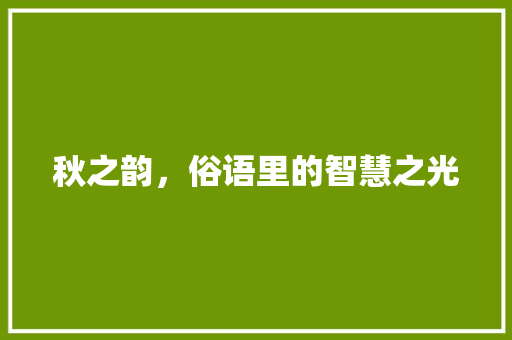 秋之韵，俗语里的智慧之光