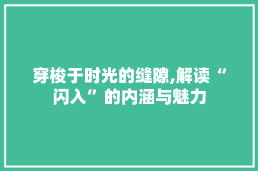 穿梭于时光的缝隙,解读“闪入”的内涵与魅力