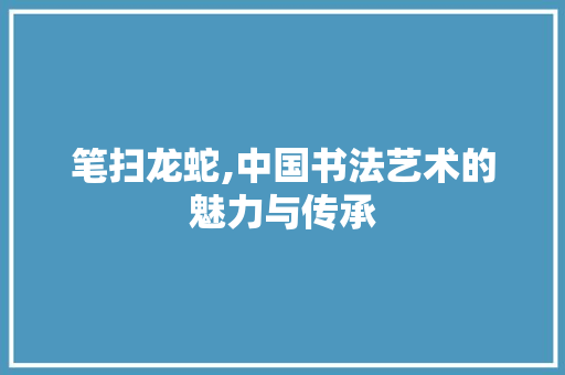 笔扫龙蛇,中国书法艺术的魅力与传承