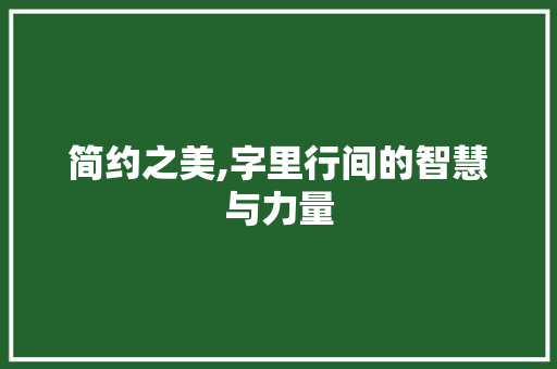 简约之美,字里行间的智慧与力量