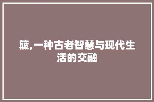 簸,一种古老智慧与现代生活的交融