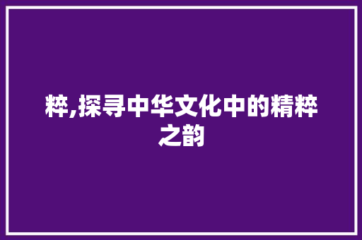 粹,探寻中华文化中的精粹之韵