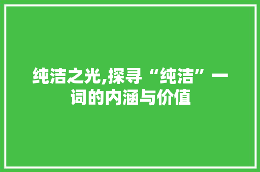 纯洁之光,探寻“纯洁”一词的内涵与价值