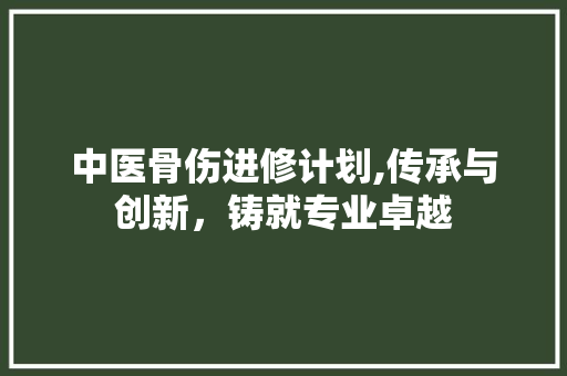 中医骨伤进修计划,传承与创新，铸就专业卓越