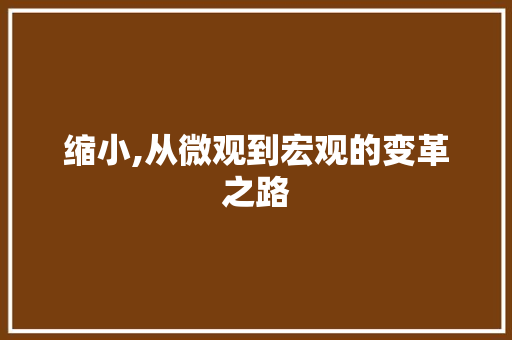 缩小,从微观到宏观的变革之路