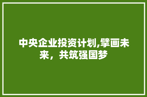 中央企业投资计划,擘画未来，共筑强国梦