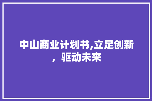 中山商业计划书,立足创新，驱动未来