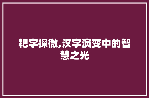 耙字探微,汉字演变中的智慧之光