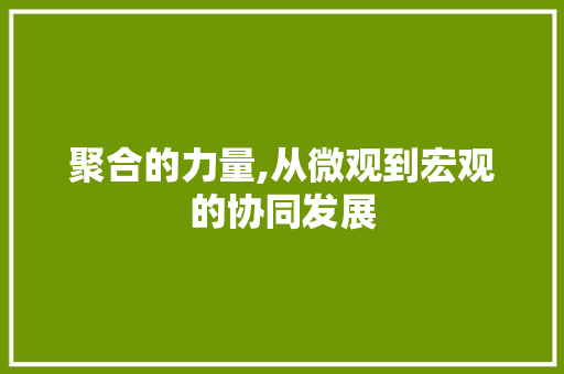聚合的力量,从微观到宏观的协同发展
