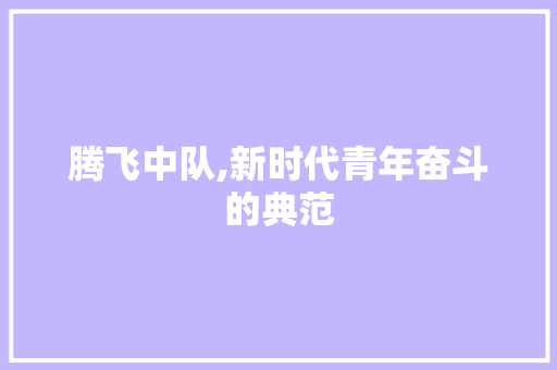 腾飞中队,新时代青年奋斗的典范