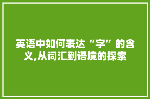 英语中如何表达“字”的含义,从词汇到语境的探索
