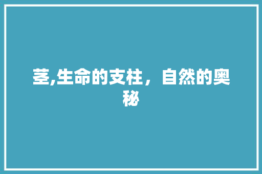 茎,生命的支柱，自然的奥秘