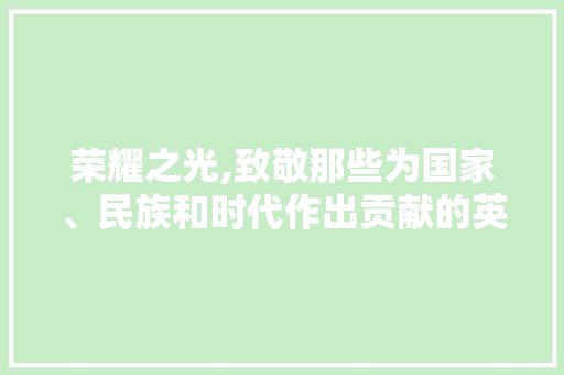 荣耀之光,致敬那些为国家、民族和时代作出贡献的英雄们