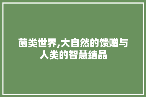菌类世界,大自然的馈赠与人类的智慧结晶
