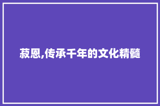 菽恩,传承千年的文化精髓