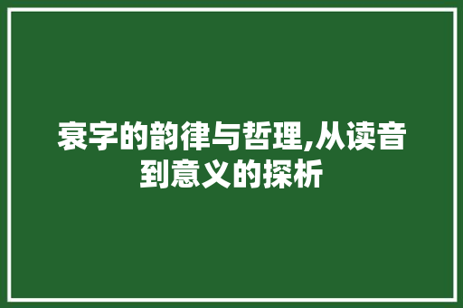 衰字的韵律与哲理,从读音到意义的探析
