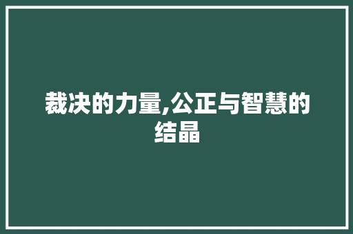 裁决的力量,公正与智慧的结晶