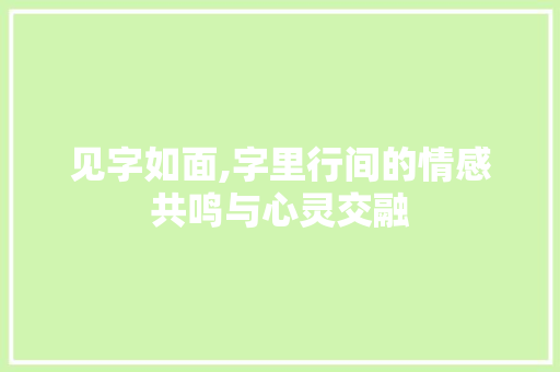 见字如面,字里行间的情感共鸣与心灵交融