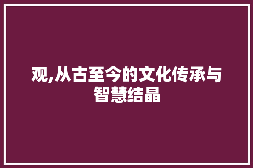 观,从古至今的文化传承与智慧结晶