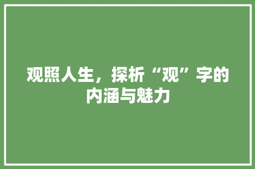 观照人生，探析“观”字的内涵与魅力