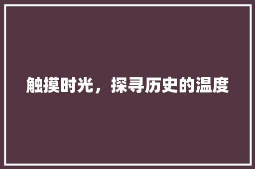 触摸时光，探寻历史的温度