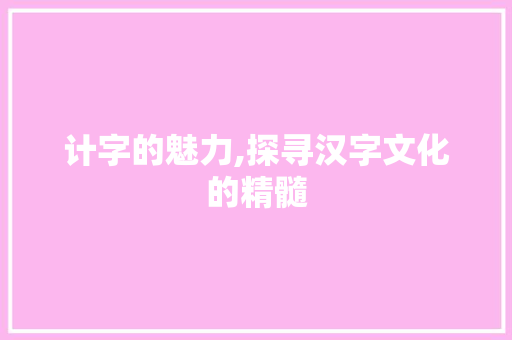 计字的魅力,探寻汉字文化的精髓