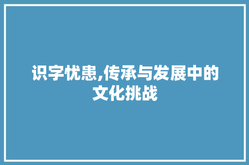 识字忧患,传承与发展中的文化挑战