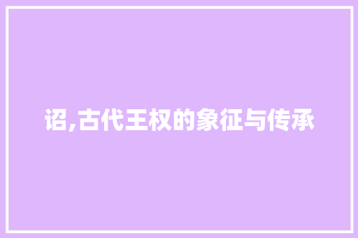 诏,古代王权的象征与传承