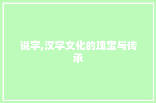 说字,汉字文化的瑰宝与传承