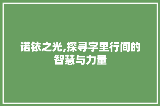诺铱之光,探寻字里行间的智慧与力量