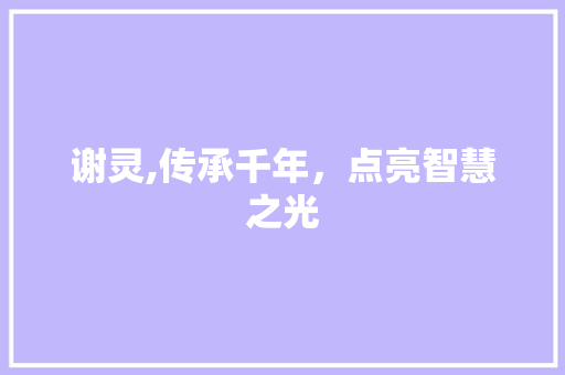 谢灵,传承千年，点亮智慧之光