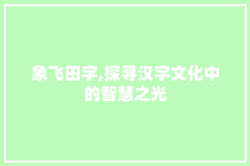 象飞田字,探寻汉字文化中的智慧之光