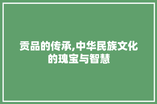 贡品的传承,中华民族文化的瑰宝与智慧