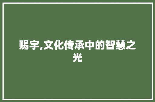 赐字,文化传承中的智慧之光