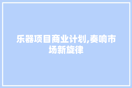 乐器项目商业计划,奏响市场新旋律