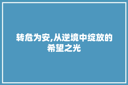 转危为安,从逆境中绽放的希望之光