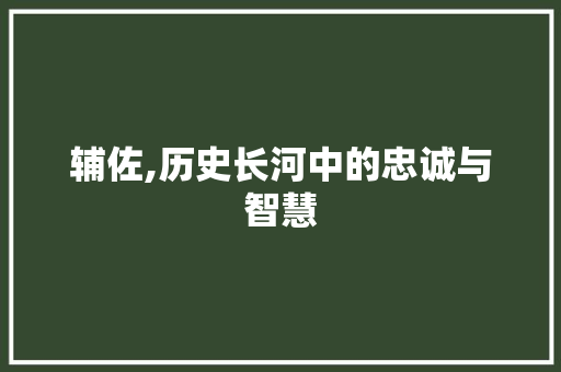 辅佐,历史长河中的忠诚与智慧