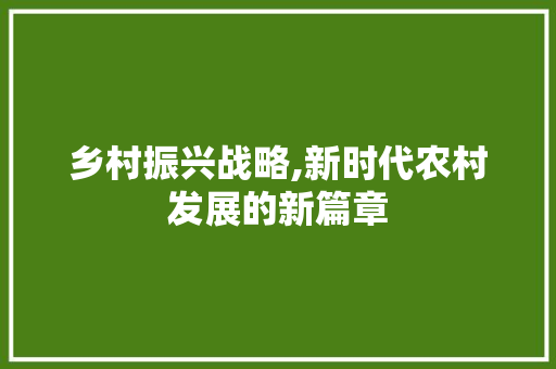 乡村振兴战略,新时代农村发展的新篇章