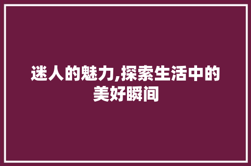 迷人的魅力,探索生活中的美好瞬间