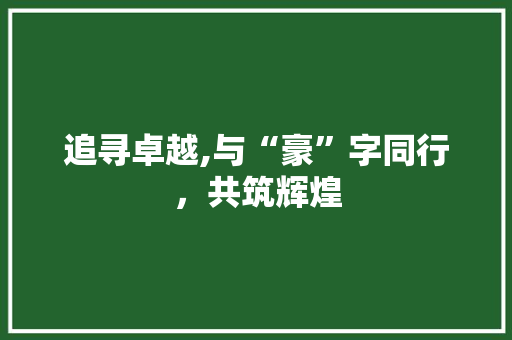 追寻卓越,与“豪”字同行，共筑辉煌