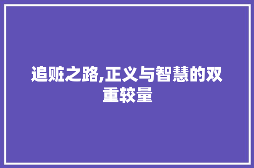 追赃之路,正义与智慧的双重较量