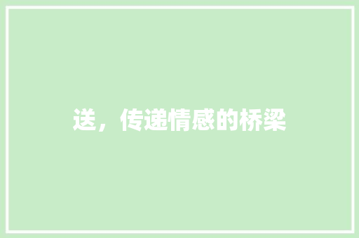 送，传递情感的桥梁
