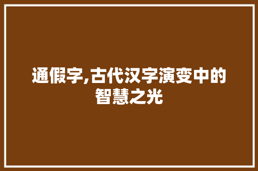 通假字,古代汉字演变中的智慧之光