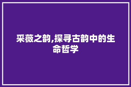 采薇之韵,探寻古韵中的生命哲学