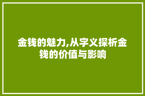 金钱的魅力,从字义探析金钱的价值与影响