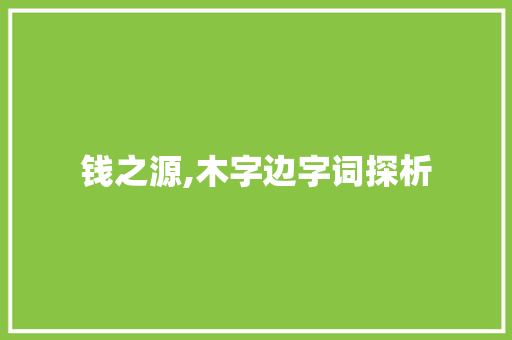 钱之源,木字边字词探析