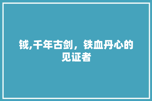 钺,千年古剑，铁血丹心的见证者