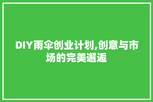 DIY雨伞创业计划,创意与市场的完美邂逅