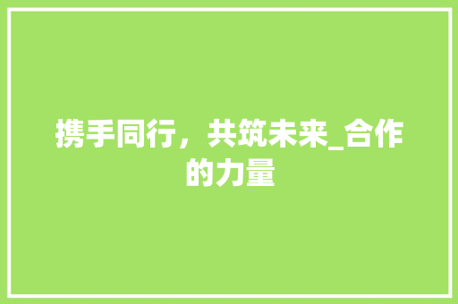 携手同行，共筑未来_合作的力量